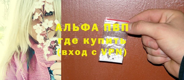 мяу мяу мука Баксан