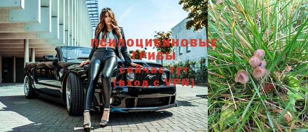 мяу мяу мука Баксан
