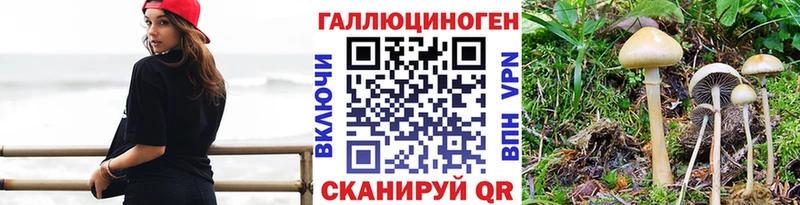 Псилоцибиновые грибы Cubensis  где купить наркотик  Ясногорск 